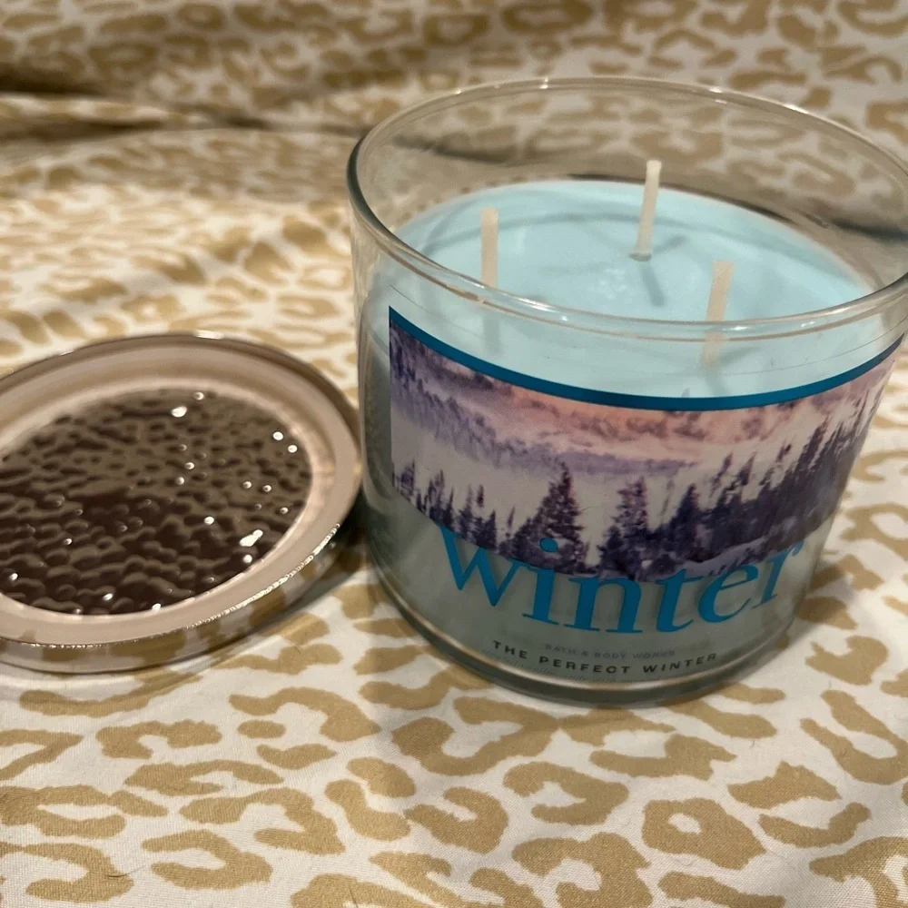 The Perfect Winter 3 Wick Candle